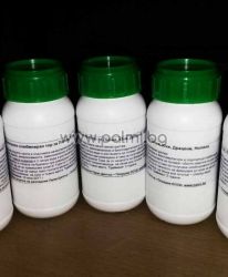 200 g professional fertilizer for palms, yucca, dracaena, nolina