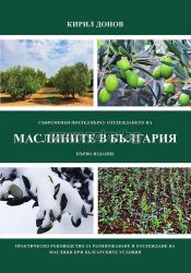 A modern view of Olive cultivation in Bulgaria