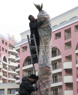 10 m light rope for winter heating of palm trees